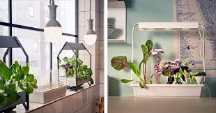 Whoo Ikea Using A Simple And Affordable Hydroponic Garden Called The Krydda Vaxer You View Article Gartenschuppen Hydrokultur Geheimer Garten