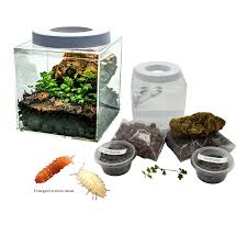 Complete 4x4" DIY Vivarium Starter Kit | MiceDirect