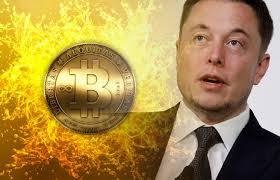 Elon musk replies that he wants to speed up block time 10x and increase block size 10x to reduce transaction fee 100x, for doge coin. Elon Musk Says Paper Money Will Go Away Crypto Will Take Its Place On Ark Invest S Fyi Podcast