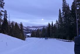 JHSC and Community Nordic Update