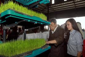 Sekinchan sering dikunjungi pelancong yang mahu melihat pemandangan sawah yang cantic. Sultan Selangor Tengku Permaisuri Lawat Tempat Menarik Di Sekinchan Semasa Mstar