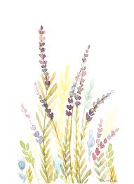Maybe you would like to learn more about one of these? Field Flowers Drawing By Olesea Caus