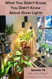 Free shipping · low prices · excellent service · huge selection Maximize Your Indoor Urban Jungle By Installing Grow Lights In This Episode I Leslie Halleck Grow Lights For Plants Indoor Grow Lights Growing Plants Indoors