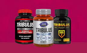 Nutricost tribulus is made from the world's finest tribulus terrestris extract. Ujg Evk2e 1sum