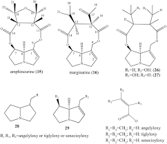 Image result for Farquharia elliptica