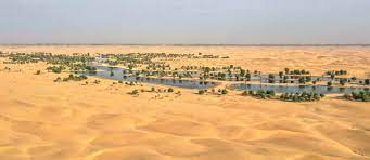 Driving on scenic roads, you can see some of the highest sand. Top Oases In The Uae Al Ain Oasis Liwa Oasis More Bayut