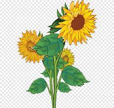Selaput pelangi latar belakang desktop gambar untuk di download. Konten Gratis Vintage Sunflower S Merangkai Bunga Bunga Matahari Png Pngegg