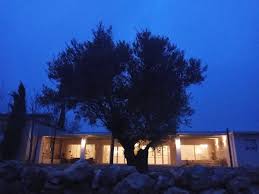 We did not find results for: Finca Hacienda Campo Y Olivo