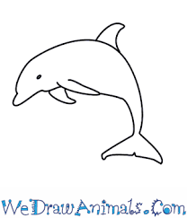 How To Draw A Dolphin They're cute, friendly, and very intelligent. how to draw a dolphin