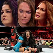 WWF Attitude Era Fans