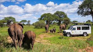 The ultimate safari guide to tanzania and zanzibar island! Tansania Rundreise Sansibar Ostafrika Pur Keniaurlaub Vom Kenia Spezialisten Reisekontor Schmidt