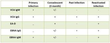 Labs And Diagnosis Ebv Help