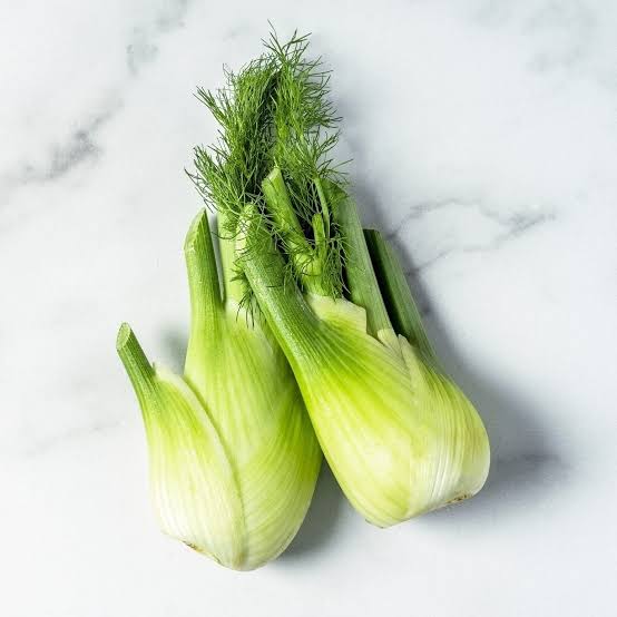 Fennel images