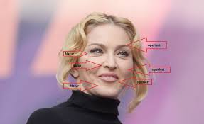 Haluatko varmasti nähdä nämä twiitit? Schonheits Doc Sagt Madonna Gesicht Aufgeblasen Hals Vergessen Express De
