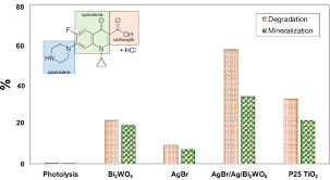 Equilibria or fixed points : Synthesis And Characterization Of The All Solid Z Scheme Bi 2 Wo 6 Ag Agbr For The Photocatalytic Degradation Of Ciprofloxacin In Water Springerlink