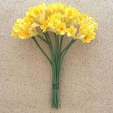 Bundle Of Yellow Fabric Campanula Flowers Vintage Germany Old Store Stock Campanula Flowers Yellow Fabric Vintage Germany