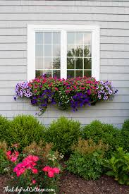 It has a sturdy frame, weighs 16 pounds, and is meant to hold three individual flower pots. 5 Tips For Gorgeous Window Boxes The Lilypad Cottage