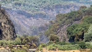 Da alcuni giorni è particolarmente colpita la provincia di cosenza, le fiamme hanno lambito le abitazioni in diversi centri (come mendicino, castrolibero. 4z2wdful Abvmm