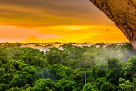 These are the regions on or near the earth's equator see a map showing the location of the amazon rainforest here: The 10 Largest Rainforests In The World Earth Com