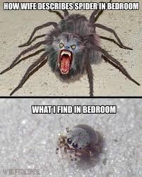 See more of epic lawn care & pest control on facebook. Who Is The Spider Hater In Your Home Epic Lawn Care Pest Control Facebook