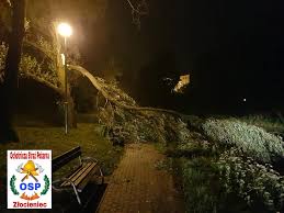 Sprawdź najnowsze i najciekawsze materiały przygotowane przez redakcję w dziale trąba powietrzna. Traba Powietrzna W Zlociencu Wichura Zrywala Dachy I Powalala Drzewa Pomoc Dla Poszkodowanych