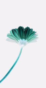 Check spelling or type a new query. Ze Wallpaper On Twitter Whitebackground Green Mintgreen Flower Drop Freewallpaper Wallpaper Iphonewallpaper