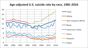 suicide in the united states wikipedia