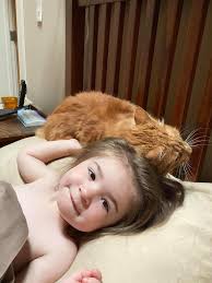 Got some new shots of my baby Harley