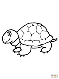If turtles are known for anything, it's for their shells and for being slow. Tortoise Coloring Pages Coloring Home