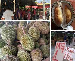 Jual bibit durian murah tidak murahan. Misi Mencari Durian Murah Ini Antara Lokasinya Memang Puas Hati Rugi Kalau Tak Serbu Keluarga