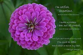 Zinnia And Marilyn Monroe Quote Nuff Said Beautiful Zinnia Flowers Zinnias Flowers