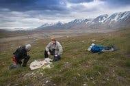Jan mayen (urban east norwegian: Svalbard And Jan Mayen The New York Times