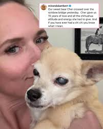 Animal advocates are rallying together to help a beloved beaver named Nibi  remain at a rescue facility in Massachusetts. Nibi's story went viral  earlier this week when Newhouse Wildlife Rescue shared a