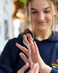 Welcome our new resident...