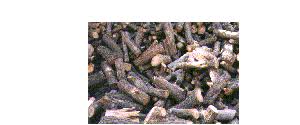 Burning pine in an indoor wood stove. Pinon Fire Wood For Deliveries