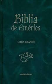 Verbo divino (editorial guadalupe) chile: Biblia De America Letra Grande Pasta Dura Verde Catolica Editorial Verbo Divino 9788499452098 Ebay