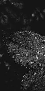 52 Hd Wallpapers For Iphone Xr Amazing Wallpaper For Iphone X Iphone Wallpaper Iph Black Wallpaper Iphone Black Aesthetic Wallpaper Android Wallpaper Black