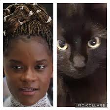 What is your voids name & why? : r/blackcats