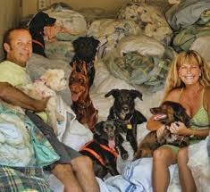 Green Witchery Reuse Donate Old Blankets Towels Linens To Local Animal Shelters And Independent Res Animal Shelter Animal Rescue Witch Cottage