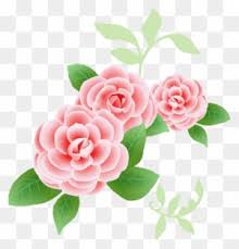 Bunga Vintage Rosa Cor De Rosa Png Free Transparent Png Clipart Images Download Window frame by romiposer link elements from jaguarwoman. bunga vintage rosa cor de rosa png