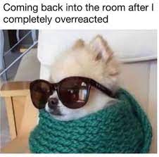 Yeah So What Dogs Know Your Meme