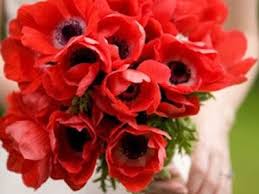 C'est normal et c'est bien naturel de vouloir le c&eacute;l&eacute;brer. Langage Et Signification Des Fleurs Coquelicot