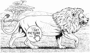 Beautiful Lion Animal Coloring Page For Kids Animal Coloring Pages Printables Free Wuppsy Com Lion Coloring Pages Animal Coloring Pages Cat Coloring Page