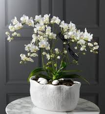 May various best collection of pictures to give you inspiration, we hope you can inspired with these gorgeous 8. Welcome To Marks Spencer Malen