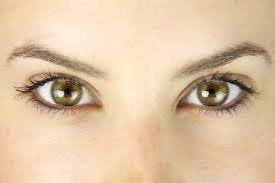 25 Amazing Facts About Green Eyes In 2020 Green Eyes Facts Eye Color Facts Hazel Eyes