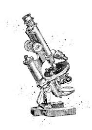Vintage Compound Microscope By Erzebet S In 2021 Medical Art Handmade Poster Microscopic