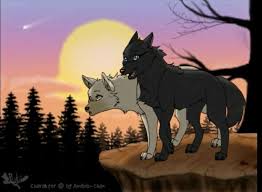 This is a story about 2 brothers. Black Wolf And White Wolf Anime Love Images