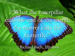 Metamorphosis from caterpillar to butterfly. From Caterpillar To Butterfly Quarantine Is Humanity S Necessary Metamorphic Time In The Chrysalis Vince Gowmon