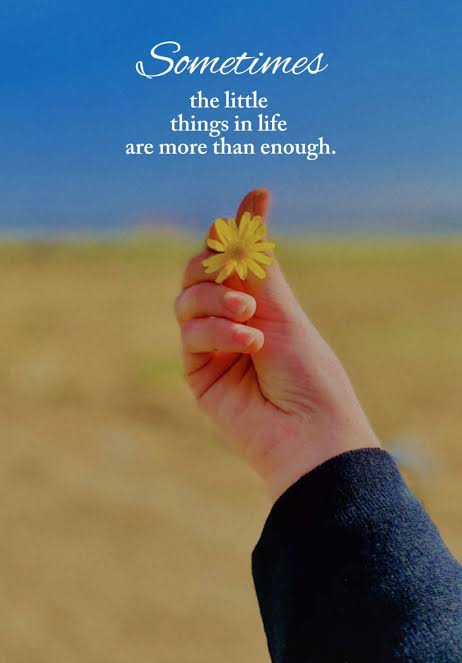 Little Things Quotes: Appreciate the Small Moments in Life