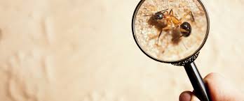 Since we have offices and technicians situated in various locations throughout ks. Tag Commercial Pest Control Services